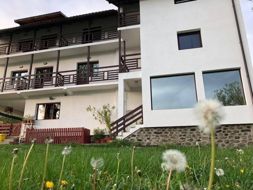 Livada Cu Meri Capatineni-Ungureni Exterior photo
