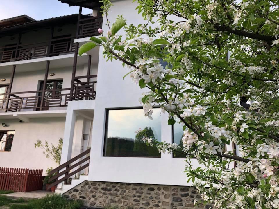 Livada Cu Meri Capatineni-Ungureni Exterior photo